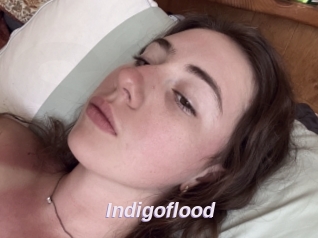 Indigoflood