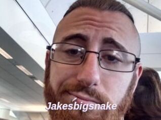 Jakesbigsnake