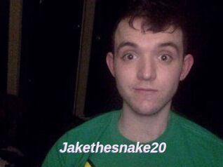 Jakethesnake20