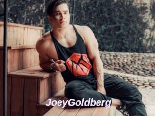 JoeyGoldberg