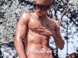 JoshuaFox