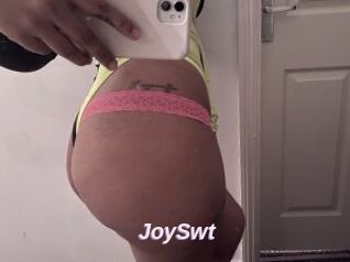 JoySwt