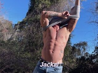 Jackal
