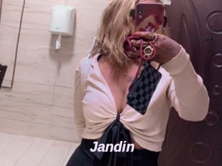 Jandin