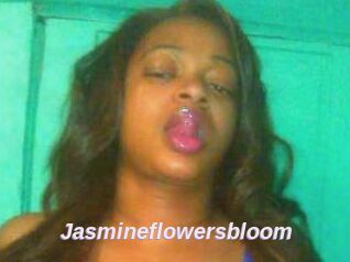 Jasmineflowersbloom