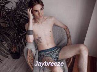 Jaybreeze