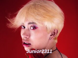 Junior2311
