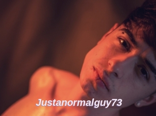 Justanormalguy73