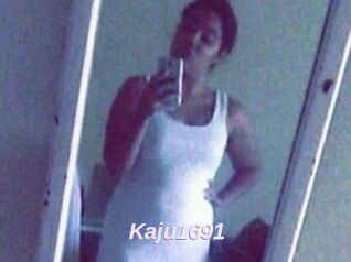 Kaju1691