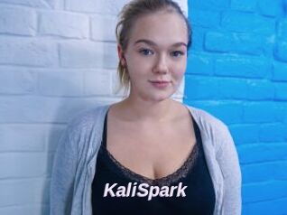 KaliSpark