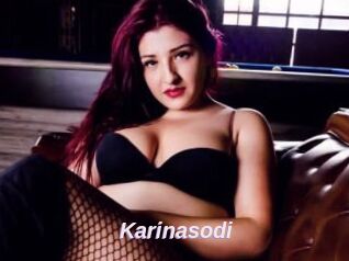 Karinasodi
