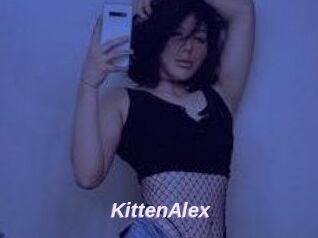 KittenAlex
