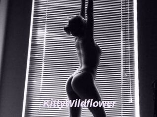 KittyWildflower