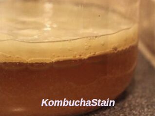 KombuchaStain
