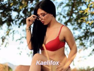 Kaelifox