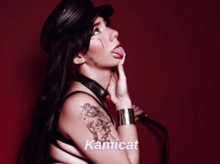 Kamicat