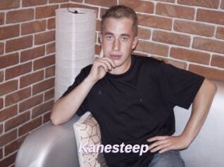 Kanesteep
