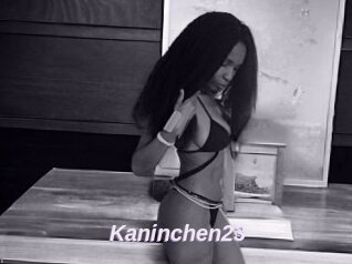 Kaninchen23
