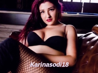 Karinasodi18