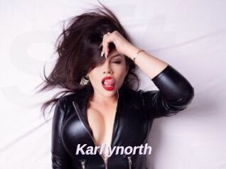 Karllynorth
