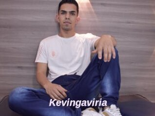 Kevingaviria