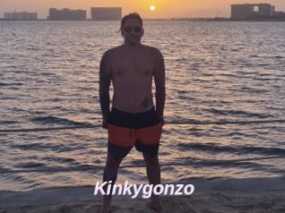 Kinkygonzo