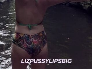 LIZPUSSYLIPSBIG