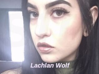 Lachlan_Wolf