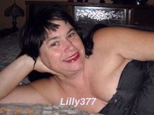 Lilly377