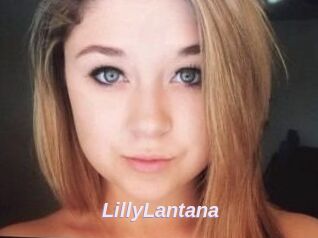 LillyLantana
