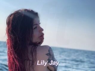 Lily_Jay