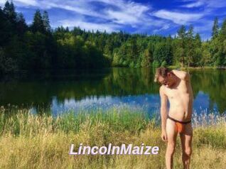 Lincoln_Maize