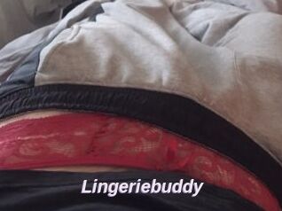 Lingeriebuddy