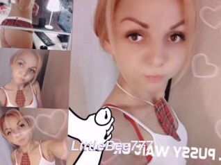 LittleBee777