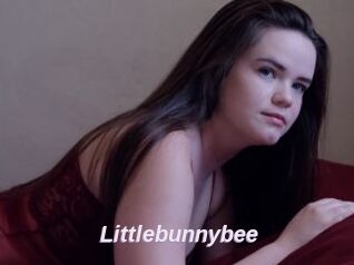 Littlebunnybee