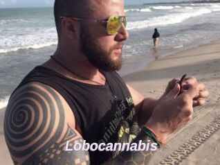 Lobocannabis