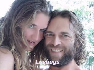 Luvbugs
