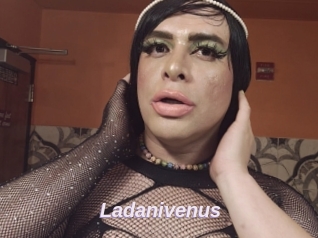 Ladanivenus