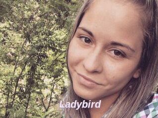 Ladybird