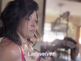 Ladyvelvet