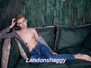 Landonshaggy