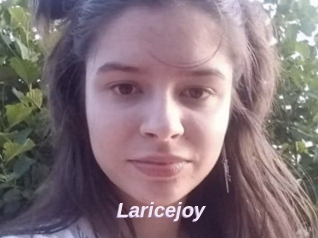 Laricejoy