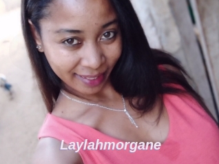 Laylahmorgane