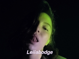 Leilabodge