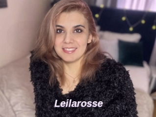 Leilarosse