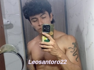 Leosantoro22