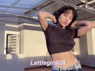 Lettlegin028