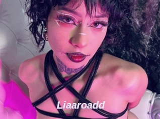 Liaaroadd