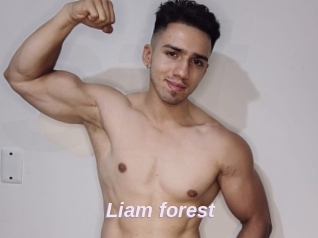Liam_forest