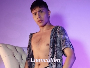 Liamcullen